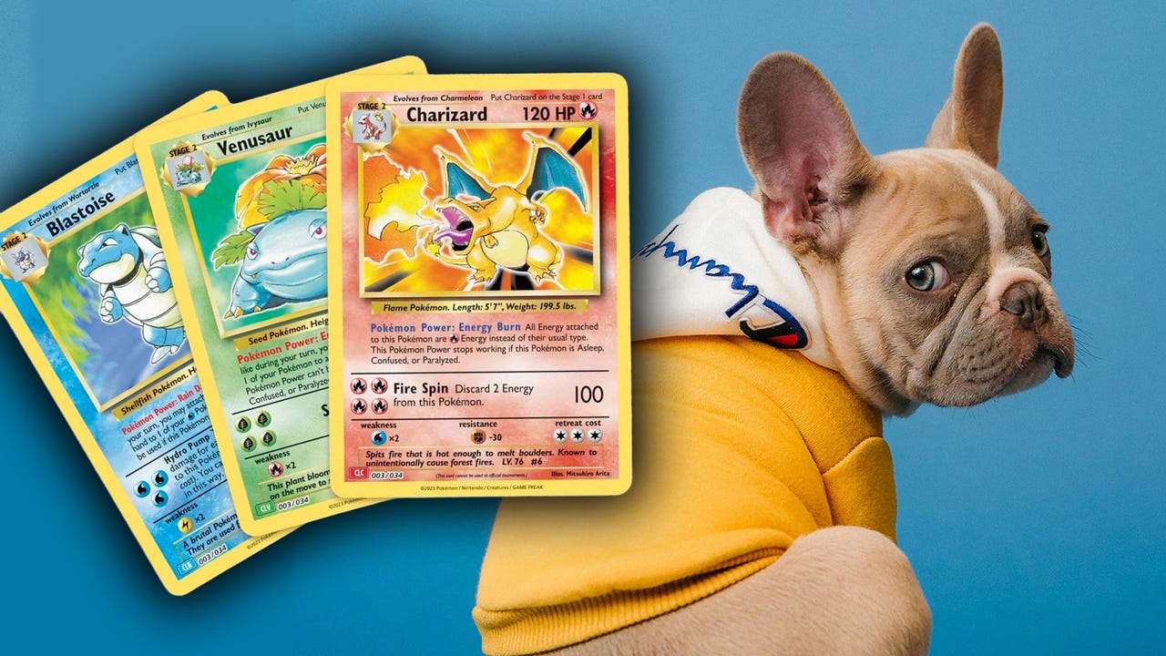 Criadores de perros ofrecen cachorros de Bulldog Francés a cambio de cartas Pokémon: una práctica alarmante — PokeWave
