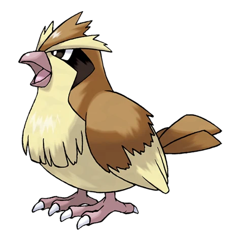 Arte oficial de Pidgey