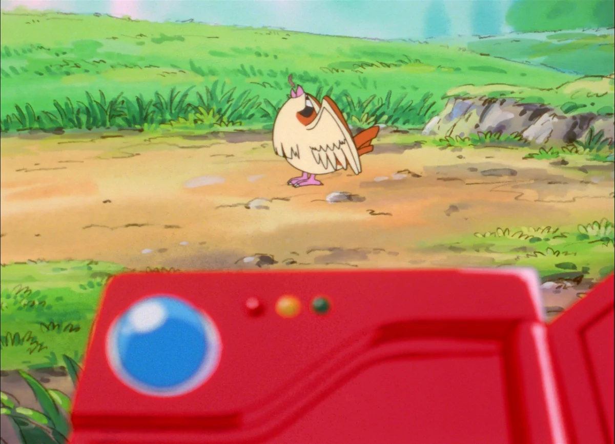 EP001 Pidgey comiendo un gusano