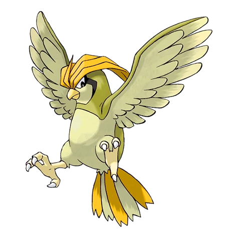 Pidgeotto variocolor (shiny)